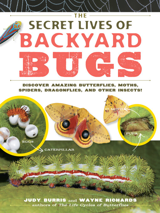 Title details for The Secret Lives of Backyard Bugs by Judy Burris - Wait list